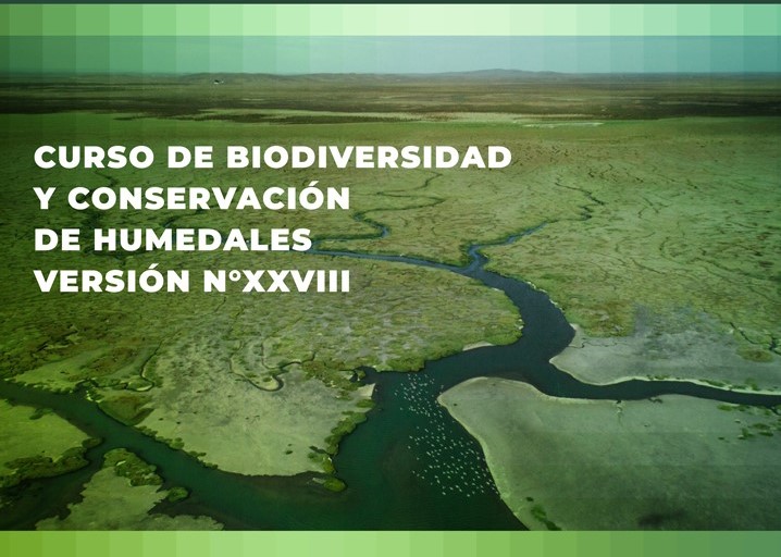 UST dictará curso sobre “Biodiversidad y Conservación de Humedales”