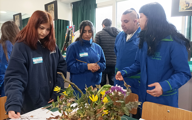 Masiva participación en jornada de puertas abiertas “Tomasin@ x1 día” en Santo Tomás Viña del Mar