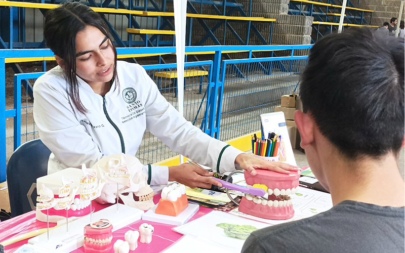 Áreas de Odontología, Salud y Ciencias Sociales de CFT-IP Santo Tomás Viña del Mar se suman a operativo “Ruta Sonrisas” en Forestal