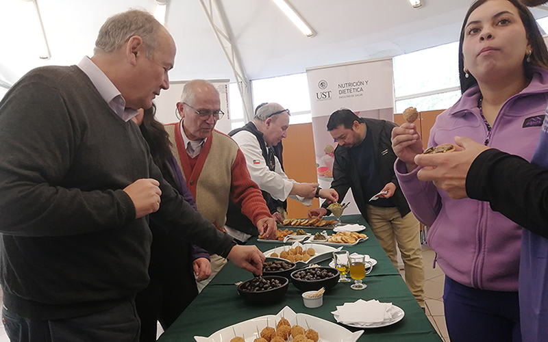 Estudiantes de tres carreras de Santo Tomás Viña del Mar logran producir aceite de oliva y aceitunas