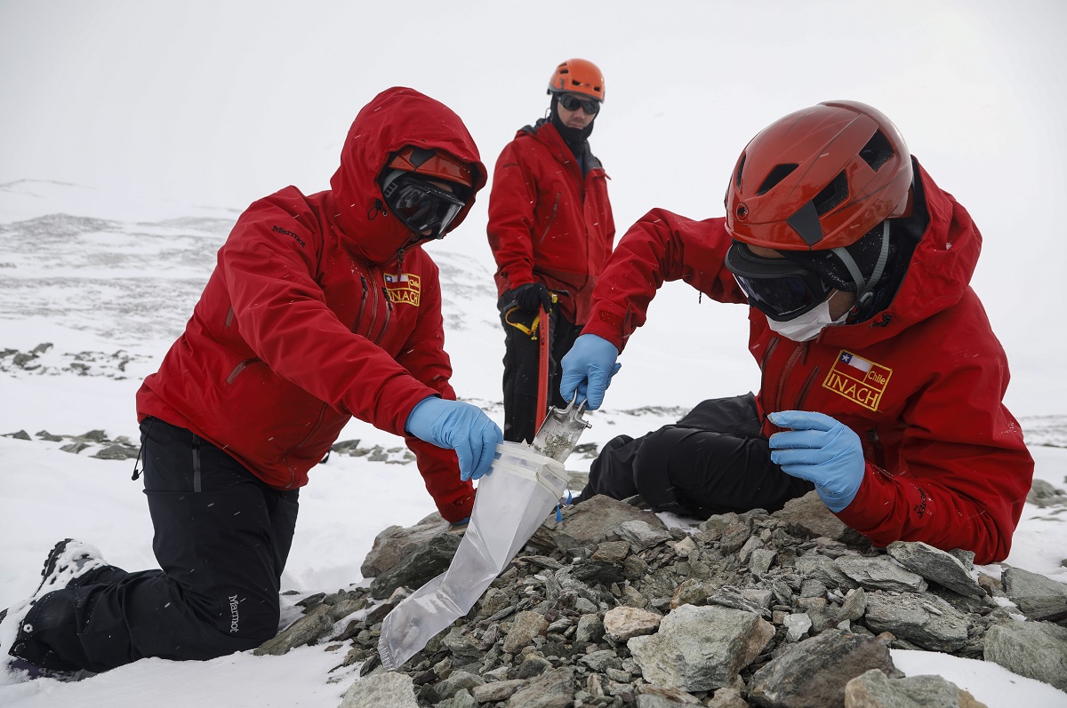 Académicos de la Universidad Santo Tomás se adjudican recursos para investigación en la Antártica