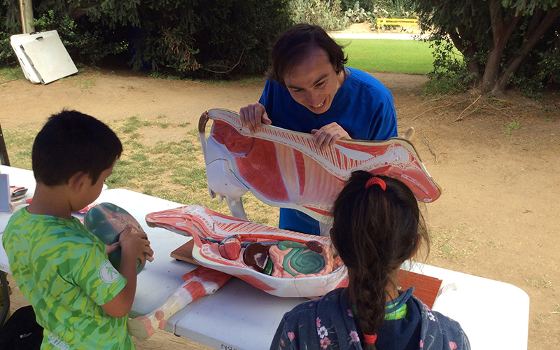 Niños de la Escuela de Verano del Jardín Botánico aprenden anatomía animal en taller impartido por Santo Tomás Viña del Mar