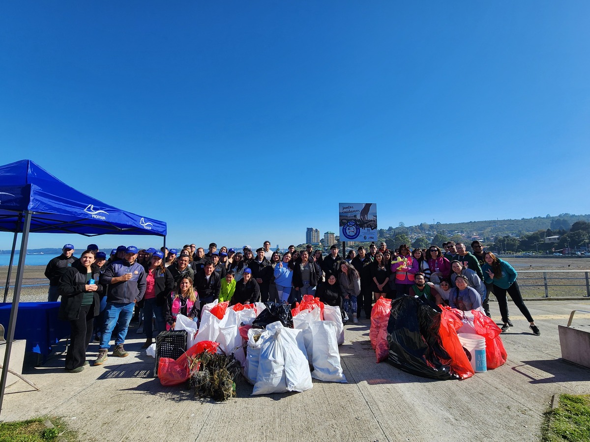 Mechoneo Solidario Santo Tomás: estudiantes realizaron limpieza de playas en Puerto Montt