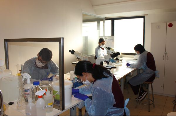 Carrera de Tecnología Médica de la UST en Valdivia evalúa competencias del perfil de egreso