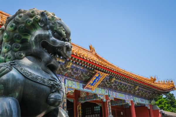 Explorando Milenios: Webinar sobre la Historia de China en el Instituto Confucio ST