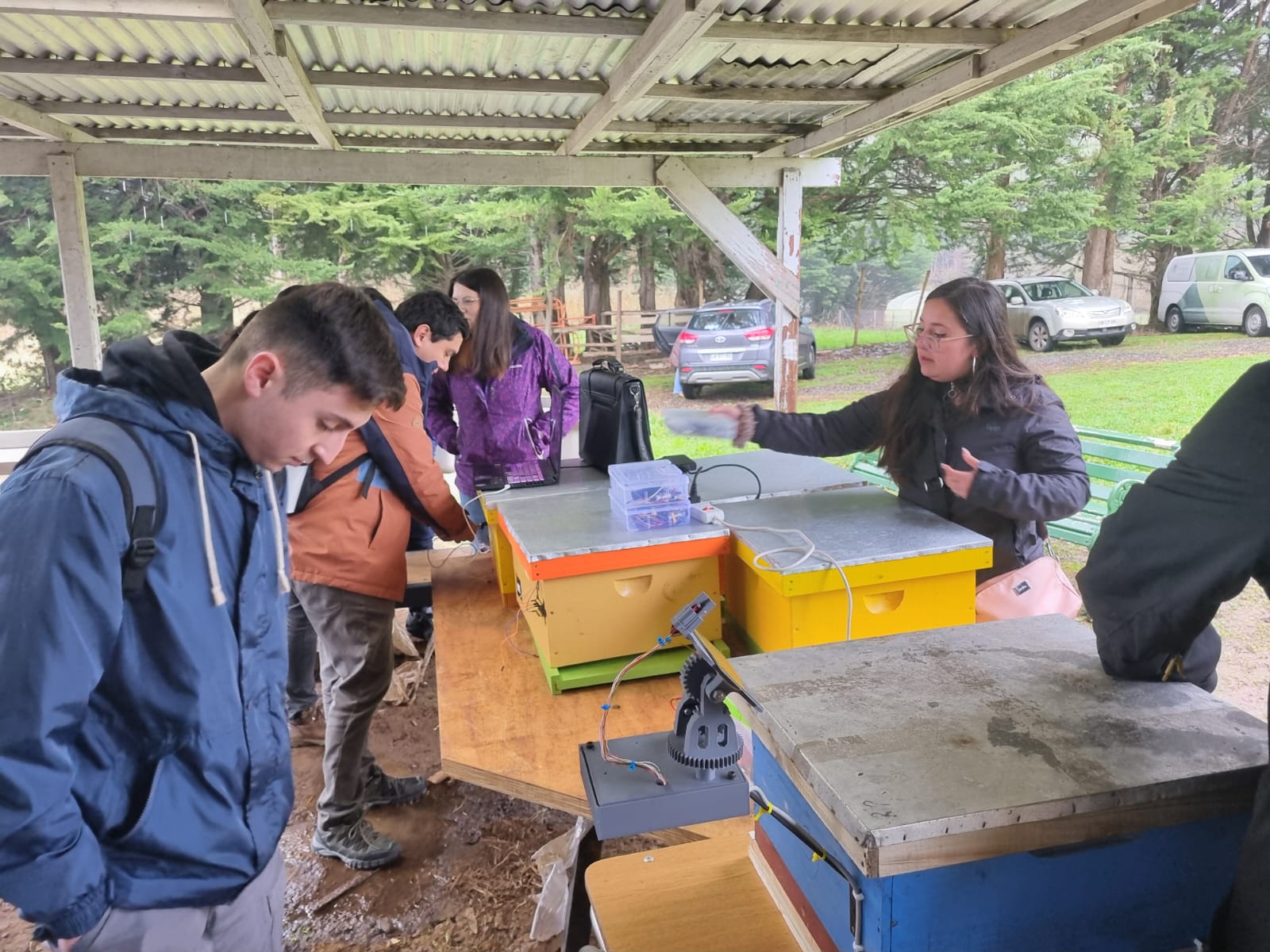 Estudiantes y docentes de Santo Tomás impulsan proyecto de innovación apícola en el sur de Chile