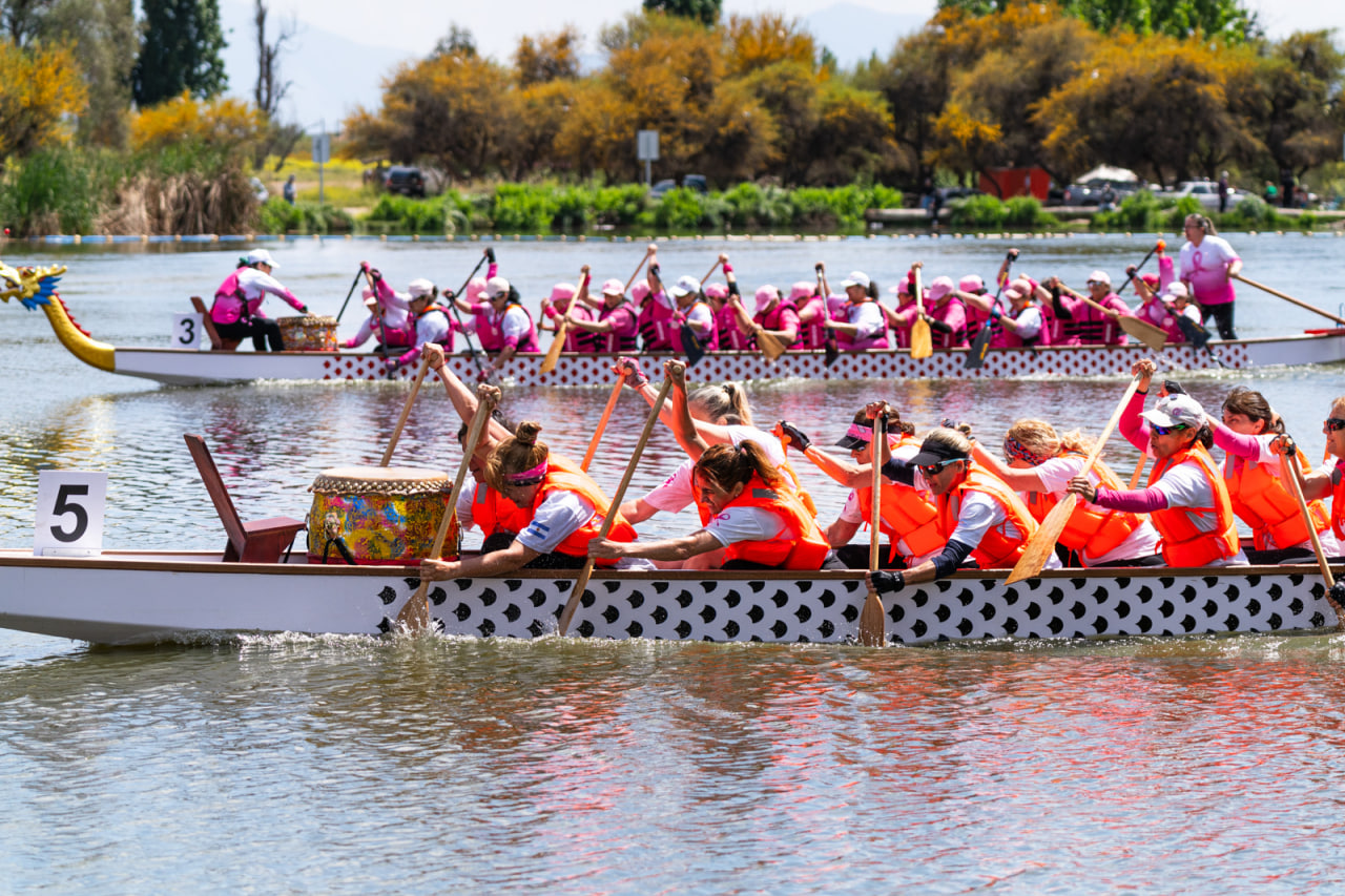 Festival del Bote de Dragón 2024: vibrante encuentro de cultura, deporte y solidaridad