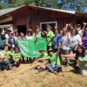 Trabajos Voluntarios de Verano - UST Santiago