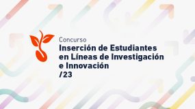 Concurso de Inserción de Estudiantes en Líneas de Investigación e Innovación - Verano 2023