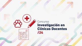 Concurso de Investigación en Clínicas Docentes 2024