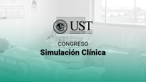 IV Congreso Chileno de Simulación, Virtual – 2020