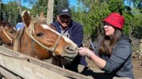 Más de 1500 animales han recibido atención gracias a la UST