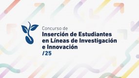 Concurso de Inserción de Estudiantes en Líneas de Investigación e Innovación - Verano 2025